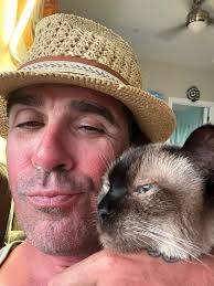 Siamese cat and tabby interaction