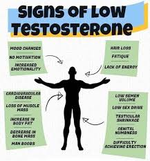 If a male has low testosterone, that may help in some cases because dht is made out of testosterone. Can Low Testosterone Cause Hair Loss Treatments Medications