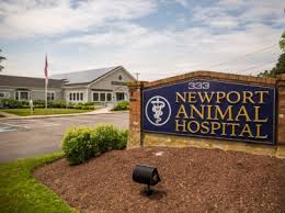Match made on care.com every 3 minutes, so find your perfect pet care provider today. Newport Animal Hospital Newport Animal Hospital