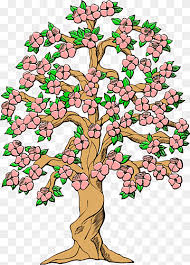 All the best fruit tree drawing 37+ collected on this page. Cherry Blossom Tree Drawing Christmas Tree Branch Flower Cherries Fruit Tree Woody Plant Flora Tree Drawing Christmas Tree Png Pngwing