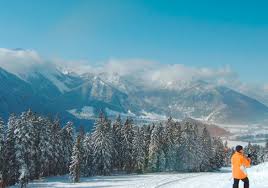 Bitte hier direkt anfragen ohne buchungsgebühren, ohne provisionen ♥ idyllisch direkt am südufer des schliersees ist das ferienhaus seegarten gelegen. Home Haus Seegarten