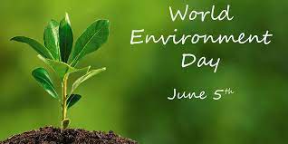 What is the theme for world environment day 2020?, why is 5th june celebrated as environment day?, which day is known as environmental day? Social Posts