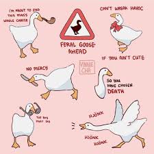 1 099 Likes 13 Comments Untitled Goose Game Untitledgoosegame On Instagram How Would You Describe Yourse Funny Memes Stupid Funny Memes Gaming Memes