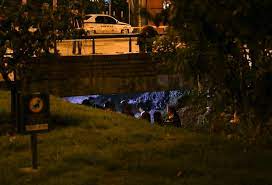 Dear colleagues and friends, we are delighted to share with you our joy of… Polemica Por Imagenes De Luis Andres Colmenares Muerto Y Sugerir Como Murio La Fm