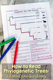 How To Read A Phylogenetic Tree 3 Part Activity Biology Lessons Biology Classroom Biology Lesson Plans