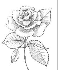 Pin By Yaquelin Diaz On Cute Drawings For Your Gf Bf Bff Beautiful Flower Drawings Roses Drawing Flower Drawing