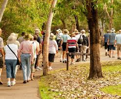 Health & Wellness in Nature