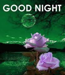 Beautiful Good Night Photo Hd Download Beautiful Good Night Images Happy Good Night Good Night Image