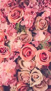 Pink Roses Bouquet Fresh Iphone 5 Wallpaper Floral Wallpaper Iphone Floral Wallpaper Flower Wallpaper