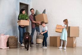 In a car, some pets are less stressed in a carrier rather than on the loose. Moving With Pets Bekins Of South Florida