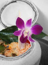 zurich marriott hotel tom kha gai soup in the white elephant restaurant marriott hotels marriott thai cuisine