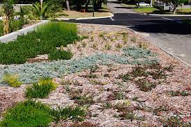 Verge development including acceptable materials and landscaping is the responsibility of the owner or occupier. Verge Garden Sustainable Outdoors