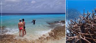 Snorkeling Bonaire The Best Snorkeling Spots In Bonaire