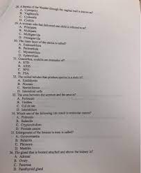 Solved 19 A Term That Means No Urine Production Is A D Chegg Com