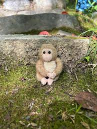 This is a long shot but, we have been travelling through Japan with a  little soft snow monkey toy and photographing his travels for our  Granddaughter. We named him Saru and send
