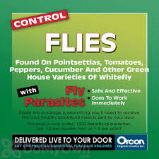 As a point of comparison, the world's longest regularly scheduled flight is between singapore and new york, and that covers a distance of just over 9,500 miles. Orcon Fly Parasites 10000 Eggs Fp C10k