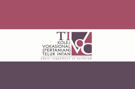 Pada awal penubuhannya ia memberi fokus kepada pelajar yang berpencapaian rendah. Kolej Vokasional Pertanian Teluk Intan Info