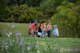 Image result for Agrocharis incognita