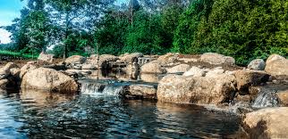 Maybe you would like to learn more about one of these? Recreational Pond 5 Things You Need To Know Clearwater Creations
