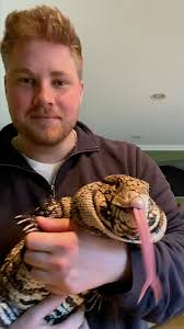 Rescued Dinosaur Loves To Cuddle With Grandma