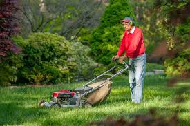 Aurora buy used lawn mowers near me centennial commercecity denver englewood lakewood parker people who buy used lawn mowers near me thornton westminster where to buy used lawn mowers. Where To Buy Used Lawn Mowers Near Me Commercial Mower Reviews