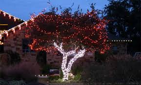 Maybe you would like to learn more about one of these? Blue Green White Christmas Tree Novocom Top