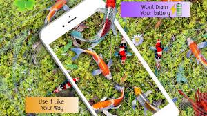 También podrá explorar más de 11 millones de videoclips en alta calidad que abarcan todas las categorías. Fondos De Pantalla De Peces Vivos Hd Tema De Agua Real 3d Amazon Es Appstore Para Android
