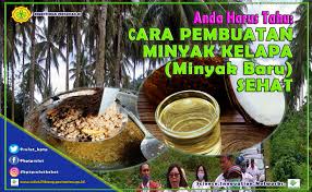 Saat mencampurnya, tepung sagu harus sambil diaduk supaya papeda memiliki tekstur yang lembut. Agro Inovasi