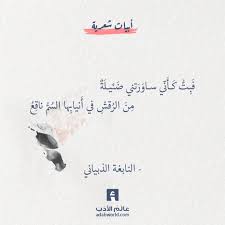 ابيات شعر Archives عالم الأدب Arabic Poetry Arabic Quotes Poet Quotes