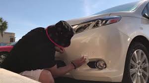 Search our online fog light bezel catalog and find the lowest priced discount auto parts on the web. How To Install Front Fog Light Cover Rear Bumper Reflectors On 2011 2017 Toyota Sienna Youtube