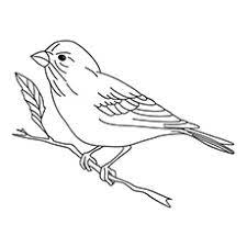 And on this set of free birds coloring pages for children, you will find a lot of different species from different countries and continents. Top 20 Free Printable Bird Coloring Pages Online