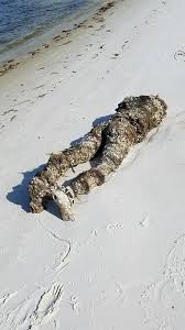 Florida is blessed with sunny days and numerous beaches like this along the atlantic coast. Look Apparent Decapitated Body On Florida Beach Was A Store Mannequin Upi Com