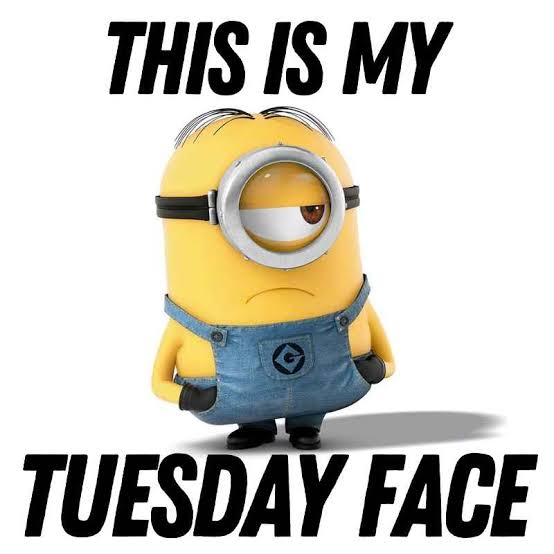 The Funniest Tuesday Memes To Power You To Wednesday