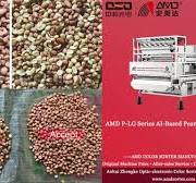 AMD Sortex(P-LGS4) Peanut Seeds Color Sorter Machine Price for Groundnuts  Kernel Sorting