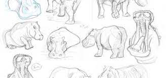Wildlife reference photos, is your source for photos of wildlife, landscape, flowers, birds of prey, seascapes, african animals, big cats and more. African Animals Drawing References And Sketches For Artists