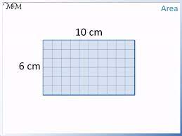 It is just more difficult to find out how many little. How To Find The Area Of A Rectangle Maths With Mum