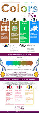 Cancers can be caused by dna changes that turn on oncogenes or turn off tumor suppressor genes. Infographic Eye Color Breakdown Guide Upmc Healthbeat