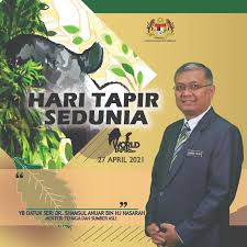Maybe you would like to learn more about one of these? Kerajaan Komited Mempergiat Konservasi Tapir Malaya Shamsul Anuar Life News Agency