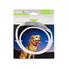 Good2go Led Light Up Collar For Dogs In Blue Collars Harnesses Leashes Id Tags Collar Accessories