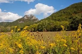 Maybe you would like to learn more about one of these? Awe Inspiring Destinations And Unmatched Adventure Your Guide To The Monongahela National Forest Almost Heaven West Virginia Almost Heaven West Virginia