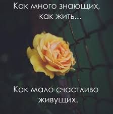 как много знающих как жить как мало счастливо живущих Odnoklassniki