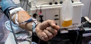 Los Anticuerpos Del Covid 19 Duran Al Menos Tres Meses Despues De La Infeccion