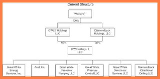 llc structure chart jasonkellyphoto co