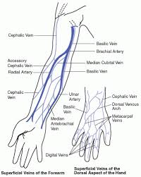 peripheral venous access oncohema key