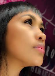 Chocolate 8D Pro Made Fans