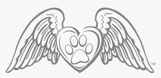 We did not find results for: Pawprint Drawing Paw Print Angel Wings Hd Png Download Transparent Png Image Pngitem
