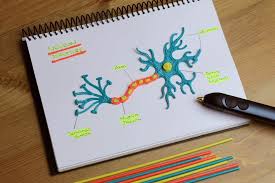 This practice allows you to quickly teach a person to repeat 3d pencil drawing step by step. 10 Cool Ideas You Can Realize With A 3d Pen 3d Make