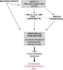 The Link Between Abdominal Obesity Metabolic Syndrome And Cardiovascular Disease Sciencedirect