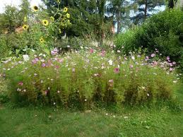 Hortus Vespertilio Der Garten Der Fledermause Eine Vorstellung Hortus Girasole Garten Naturgarten Natur
