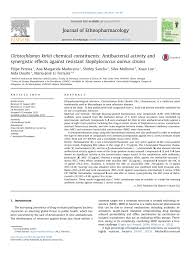 Image result for Cleistochlamys kirkii